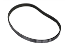 Correia Do Alternador Motor Thp Peugeot Citroen - V760401480